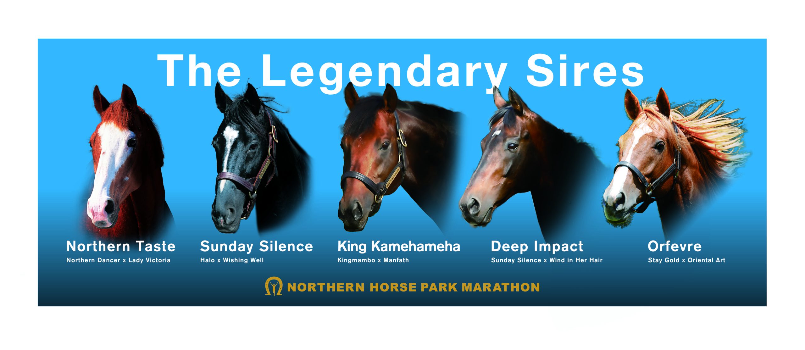 ノーザンホースパークマラソン2026【公式】